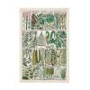 Trademark Fine Art 'Fern Chart' Canvas Art by Vision Studio 16x24 view 1