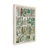 Trademark Fine Art 'Fern Chart' Canvas Art by Vision Studio 16x24 view 2