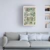 Trademark Fine Art 'Fern Chart' Canvas Art by Vision Studio 16x24 view 3