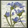 Stampendous Cling Rubber Stamp, Slim Agapanthus view 2