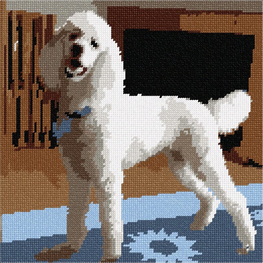 Pepita Needlepoint Canvas: Cosmo The White Poodle, 10" x 10"