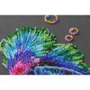 Bead Embroidery Kit Betta Fish Dancing Rainbow Beaded Stitching Heedlepoint Handcraft DIY view 2