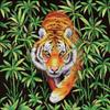 Tiger Cross Stitch kit. Jungle Cross Stitch Pattern on Aida 14 Count Canvas. Cross Stitch by MP Studia. Master of The Jungle HB-756/SNV-756 view 1