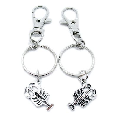 5 Pieces Keyring Keychain Wholesale Suppliers Jewelry Lobster Clasps IA7Y4J Shrimp Crayfish