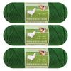 3-Pack Baby Alpaca Wool Blend Yarn Worsted Weight Fashion Collection Art Crafts Crochet and Knitting Sunny Cat Premium Brand (Spring Green) view 1