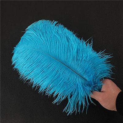 Zamihalaa 10-200pcs/lot Lake Blue Fluffy Ostrich Feather 15-70cm DIY Jewelry Feathers for Crafts Making&Wedding Partys Decoration Plumas - 55-60cm 22-24inch - 10PCS