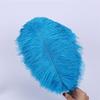 Zamihalaa 10-200pcs/lot Lake Blue Fluffy Ostrich Feather 15-70cm DIY Jewelry Feathers for Crafts Making&Wedding Partys Decoration Plumas - 55-60cm 22-24inch - 10PCS view 2