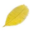 Zamihalaa Wholasale Yellow Ostrich Feather 10pcs-200pcs/lot 15-70cm DIY Feathers for Decoration Wedding Party Carnival Dancer Pluma Crafts - 65-70cm 26-28inch - 100PCS view 2