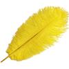 Zamihalaa Wholasale Yellow Ostrich Feather 10pcs-200pcs/lot 15-70cm DIY Feathers for Decoration Wedding Party Carnival Dancer Pluma Crafts - 65-70cm 26-28inch - 100PCS view 3