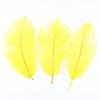 Zamihalaa Wholasale Yellow Ostrich Feather 10pcs-200pcs/lot 15-70cm DIY Feathers for Decoration Wedding Party Carnival Dancer Pluma Crafts - 65-70cm 26-28inch - 100PCS view 4
