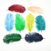 Zamihalaa 100-1000Pcs/lotOstrich Feather 15-20CM DIY Feathers for Crafts Decoration Plumas Jewelry Making Wedding Plumes D30 view 2
