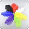 Zamihalaa 100-1000Pcs/lot Fluffy Ostrich Feather 20-25CM Wedding Party Home Decoration Plumas DIY Feathers for Crafts Needlework C13 view 1