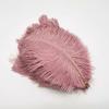 Zamihalaa 100-1000Pcs/lot Fluffy Ostrich Feather 20-25CM Wedding Party Home Decoration Plumas DIY Feathers for Crafts Needlework C13 view 2