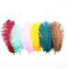 Zamihalaa 100-1000Pcs/lot Fluffy Ostrich Feather 20-25CM Wedding Party Home Decoration Plumas DIY Feathers for Crafts Needlework C13 view 4