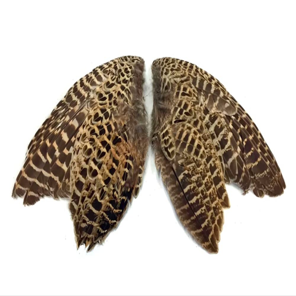 1 Pair - Natural Ringneck Pheasant Hen Whole Wing Feather Set (Left and Right) Dog Training Fly Tying Supply -A | Moonlight Feather