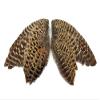 1 Pair - Natural Ringneck Pheasant Hen Whole Wing Feather Set (Left and Right) Dog Training Fly Tying Supply -A | Moonlight Feather view 1