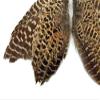 1 Pair - Natural Ringneck Pheasant Hen Whole Wing Feather Set (Left and Right) Dog Training Fly Tying Supply -A | Moonlight Feather view 4