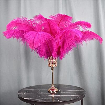 Zamihalaa 10Pcs Rose Red Ostrich Feathers for Crafts Table Centerpieces DIY Wedding Party Decoration Carnival Feather Large Natural Plumas - 40-45cm Small Pole
