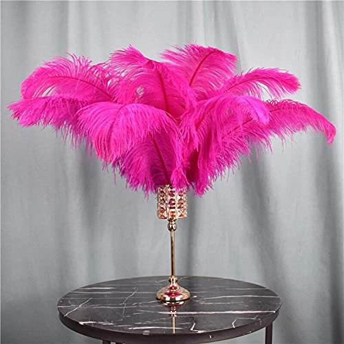 Zamihalaa 10Pcs Rose Red Ostrich Feathers for Crafts Table Centerpieces DIY Wedding Party Decoration Carnival Feather Large Natural Plumas - 40-45cm Small Pole