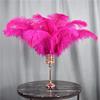 Zamihalaa 10Pcs Rose Red Ostrich Feathers for Crafts Table Centerpieces DIY Wedding Party Decoration Carnival Feather Large Natural Plumas - 40-45cm Small Pole view 1