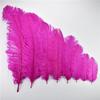 Zamihalaa 10Pcs Rose Red Ostrich Feathers for Crafts Table Centerpieces DIY Wedding Party Decoration Carnival Feather Large Natural Plumas - 40-45cm Small Pole view 2