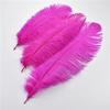 Zamihalaa 10Pcs Rose Red Ostrich Feathers for Crafts Table Centerpieces DIY Wedding Party Decoration Carnival Feather Large Natural Plumas - 40-45cm Small Pole view 3