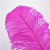 Zamihalaa 10Pcs Rose Red Ostrich Feathers for Crafts Table Centerpieces DIY Wedding Party Decoration Carnival Feather Large Natural Plumas - 40-45cm Small Pole view 4