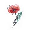 MARUSSIA Oven Counted Cross Stitch Kit Poppy 7 x 11 cm view 1