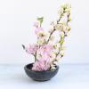Wazakura Minoyaki Series Japanese Ikebana Essential Tool Kit with Small Round Ceramic Flower Vase and Kenzan Pin Frog for Floral Arranging - Black Vase + 2in (61mm) Black Kenzan view 3