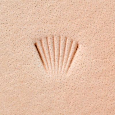 Leather Stamping Tool, Figure Carving, Fan #1