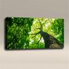 Acoustical Wall Art Panel : Nature Photo Themes - Size: 48"x24"x2" view 2