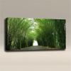 Acoustical Wall Art Panel : Nature Photo Themes - Size: 48"x24"x2" view 3