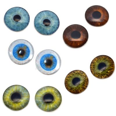 5 Pairs Realistic Human Glass Eye Discounted Bundle II Set of 10 Eyes - Bulk Wholesale - Taxidermy Art Sculptures or Jewelry Making Supply (25mm)