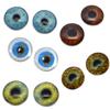 5 Pairs Realistic Human Glass Eye Discounted Bundle II Set of 10 Eyes - Bulk Wholesale - Taxidermy Art Sculptures or Jewelry Making Supply (25mm) view 1