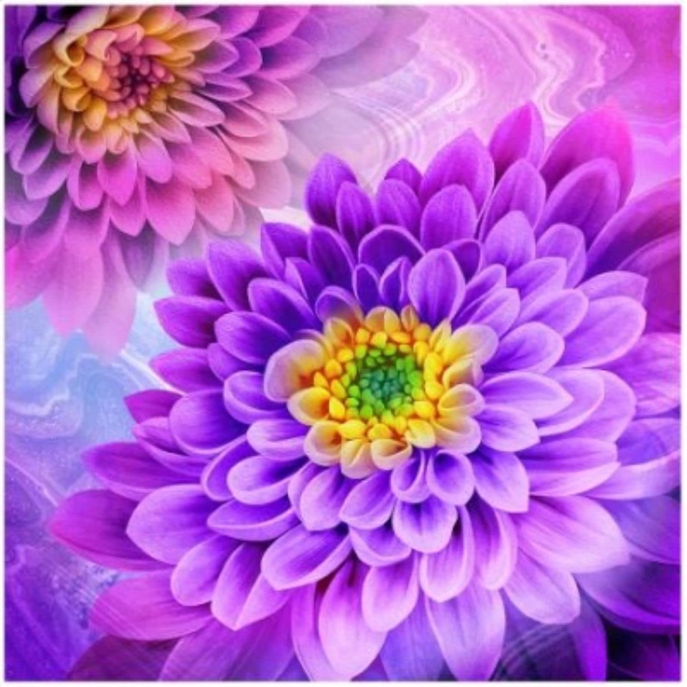 Oasis Dahlia Dazzle Digital Purple Dahlia 585013 59" x 59"