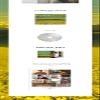 Super Junior - The Road : Winter for Spring [Random ver.] (Special Single) Random Album+CultureKorean Gift(Decorative Stickers,Photocards) view 3