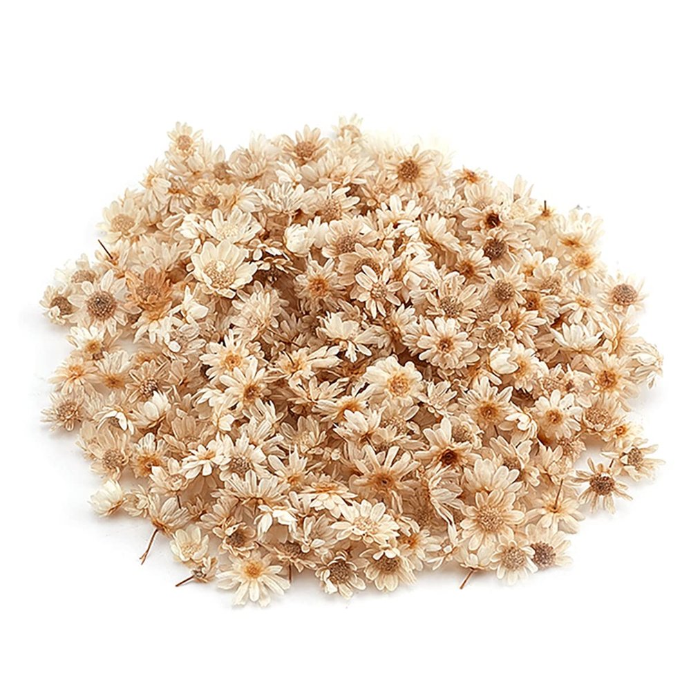 homeemoh 200 Pcs Mini Natural Dried Flowers, Small Dried Flowers Heads Natural Brazil Little Star Flowers for DIY Crafts Candle Making Epoxy Resin,White