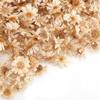 homeemoh 200 Pcs Mini Natural Dried Flowers, Small Dried Flowers Heads Natural Brazil Little Star Flowers for DIY Crafts Candle Making Epoxy Resin,White view 2