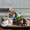 Cute Cat Concrete Flower Pot Molds Succulent Planter Vase Cactus Silicone Molds Candle Pen Holder Mold Epoxy Resin Cement Clay Mould view 3