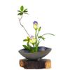 Japanese Ceramic Ikebana Flower Vase Flower Arranging Supplies,Flower Arrangement Container for Ikebana Vase & Flower Frog A13 view 1