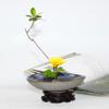 Japanese Ceramic Ikebana Flower Vase Flower Arranging Supplies,Flower Arrangement Container for Ikebana Vase & Flower Frog A13 view 2