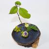 Japanese Ceramic Ikebana Flower Vase Flower Arranging Supplies,Flower Arrangement Container for Ikebana Vase & Flower Frog A13 view 3