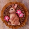 Katy Sue Rabbits Silicone Mold for Cookie, Cake Decorating & Craft. A Rabbit Animal Mold To Use With Fondant, Gum Paste, Sugar Paste, Chocolate, & Air Dry Clay from Katy Sue Designs Fondant Molds view 4