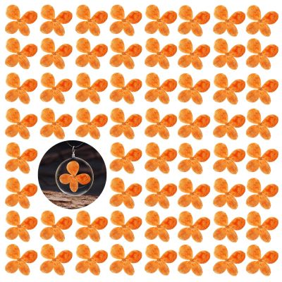 60PCS Pressed Flowers, Real Natural Orange Hydrangea Dried Flowers for Resin Scrapbooking DIY Candle Accessories Jewelry Art Crafts DIY Making