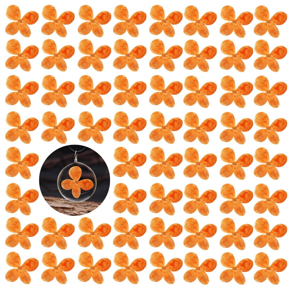 60PCS Pressed Flowers, Real Natural Orange Hydrangea Dried Flowers for Resin Scrapbooking DIY Candle Accessories Jewelry Art Crafts DIY Making
