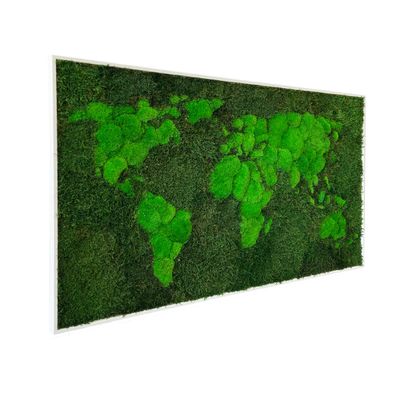 68travel Moss World map (framed) - stabilised natural forest moss and Nordic lichen - interior wall artwork (112x65cm / 44x25.6in, green - white wooden frame)