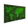 68travel Moss World map (framed) - stabilised natural forest moss and Nordic lichen - interior wall artwork (112x65cm / 44x25.6in, green - white wooden frame) view 1