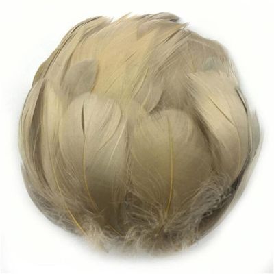 ZRSYH 100pcs Colorful Feathers Goose Feathers Natural Goose Feather for DIY Crafts Bright Colorful Feathers Craft Wedding Party Baby Shower Decoration,Khaki