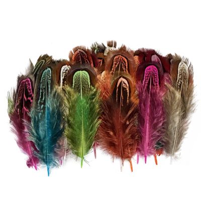 100 pcsHappy Feather Natural Pheasant Plumage Feathers 2-3 Inches Plumage Feathers for Sewing Crafts Clothing Decorating Accessories -Multi Color