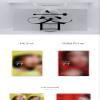 MAMAMOO SOLAR : FACE 1st Mini Album PERSONA Version CD+128p PhotoBook+1p Message Card+1ea Sticker+2p PhotoCard+Tracking Sealed view 2